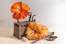 Carica l'immagine nel visualizzatore di Gallery, Ibiscus