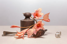 Carica l'immagine nel visualizzatore di Gallery, Fresia