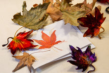 Carica l'immagine nel visualizzatore di Gallery, Foglie