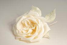 Carica l'immagine nel visualizzatore di Gallery, Rose di seta