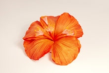 Carica l'immagine nel visualizzatore di Gallery, Ibiscus