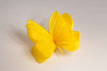 Carica l'immagine nel visualizzatore di Gallery, Farfalle