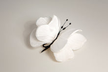 Carica l'immagine nel visualizzatore di Gallery, Farfalle