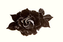 Carica l'immagine nel visualizzatore di Gallery, Rose di velluto