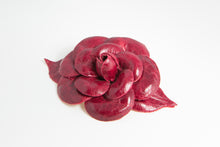 Carica l'immagine nel visualizzatore di Gallery, Camelie