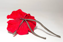 Carica l'immagine nel visualizzatore di Gallery, Papavero