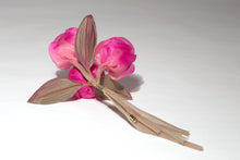 Carica l'immagine nel visualizzatore di Gallery, Anemoni