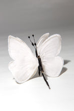 Carica l'immagine nel visualizzatore di Gallery, Farfalle