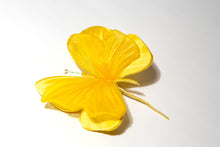 Carica l'immagine nel visualizzatore di Gallery, Farfalle