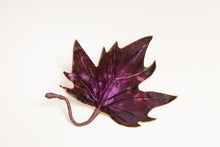 Carica l'immagine nel visualizzatore di Gallery, Foglie