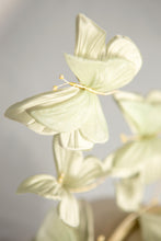 Carica l'immagine nel visualizzatore di Gallery, Prendimi!