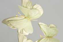 Carica l'immagine nel visualizzatore di Gallery, Prendimi!