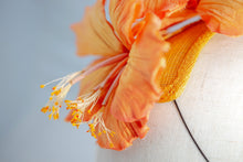 Carica l'immagine nel visualizzatore di Gallery, Frontino di Ibiscus